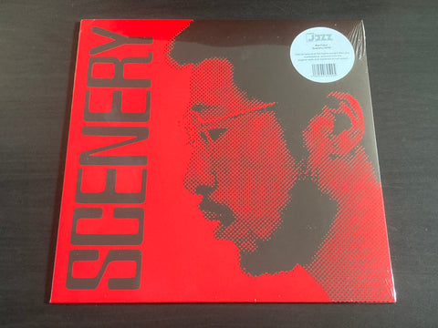 Ryo Fukui / 福居良 - Scenery LP 33⅓rpm VINYL