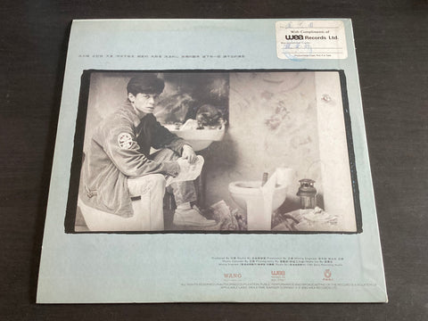Dave Wang Jie / 王傑 - 流浪的心 LP VINYL