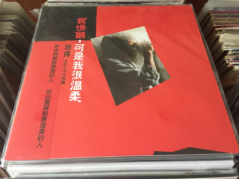 Zhao Chuan / 趙傳 - 我很醜，可是我很溫柔 LP
