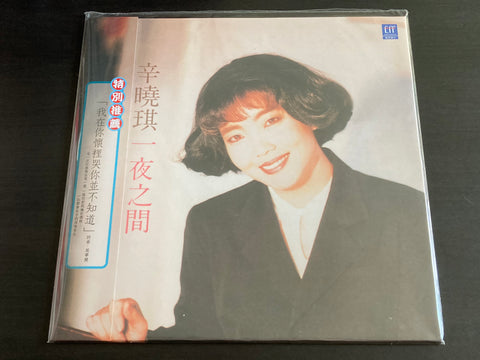 Winnie Hsin / 辛曉琪 - 一夜之間 LP VINYL