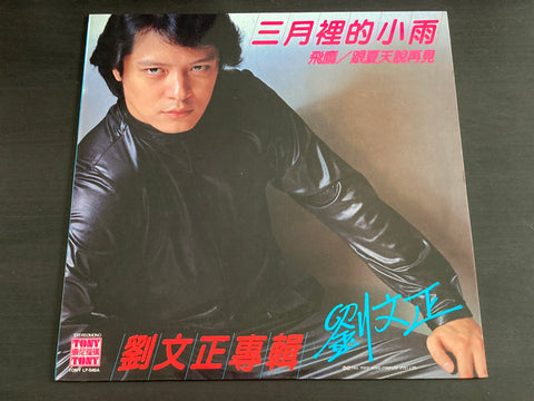 Steven Liu Wen Zheng / 劉文正 - 三月裡的小雨 LP VINYL