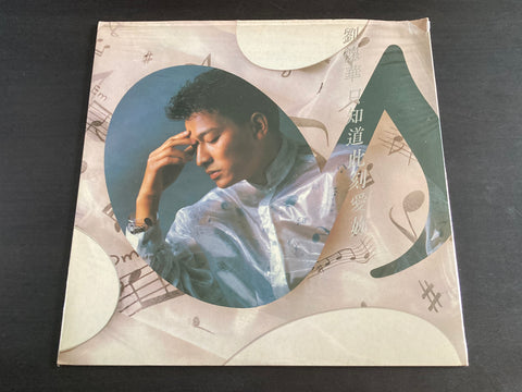 Andy Lau / 劉德華 - 只知道此刻愛妳 LP VINYL