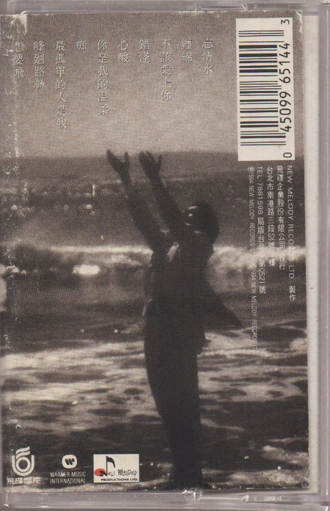 Andy Lau / 劉德華 - 忘情水 (卡帶/Cassette)