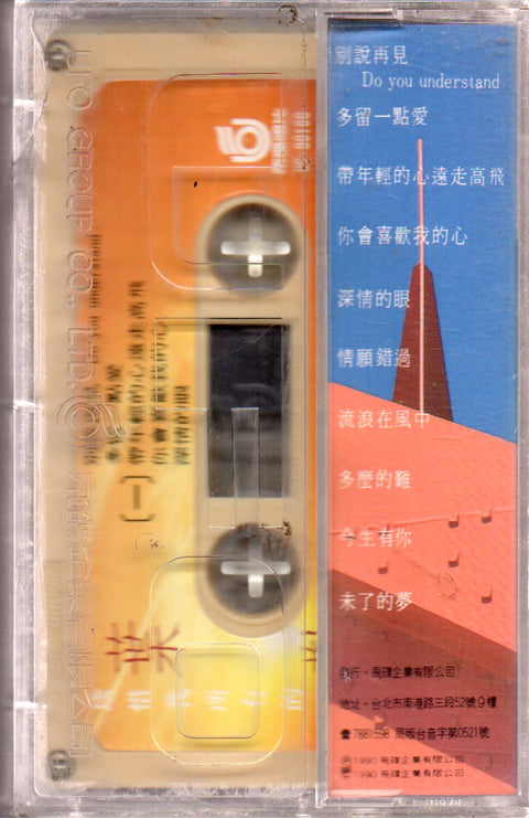 Augustine Ye Huan / 葉歡 - 珍惜我所有的感受 (卡帶/Cassette)