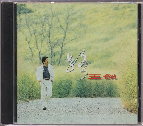 Dave Wang Jie / 王傑 - 路 CD