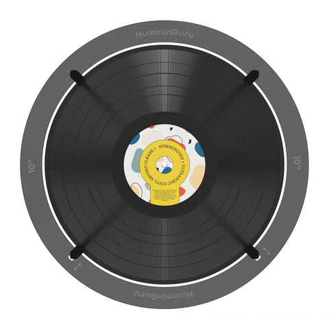  HumminGuru Ultrasonic Vinyl Record Cleaner
