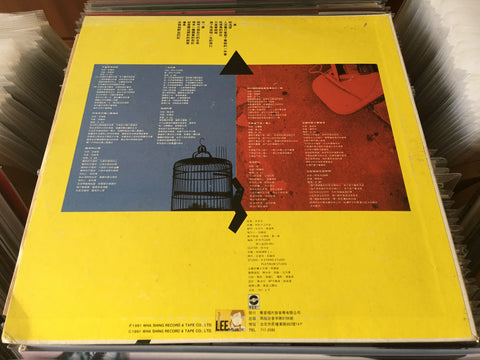 Lee E-jun / 李翊君 - 不會再有的錯 Vinyl LP